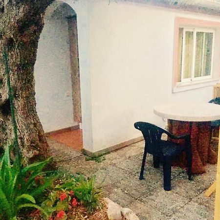 Olive Tree Apartments Rovinj Exterior foto