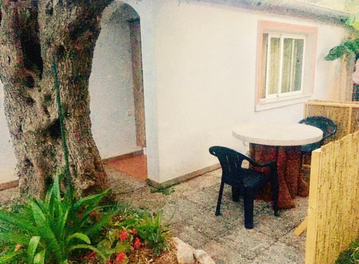 Olive Tree Apartments Rovinj Exterior foto